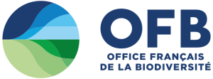 logo-ofb