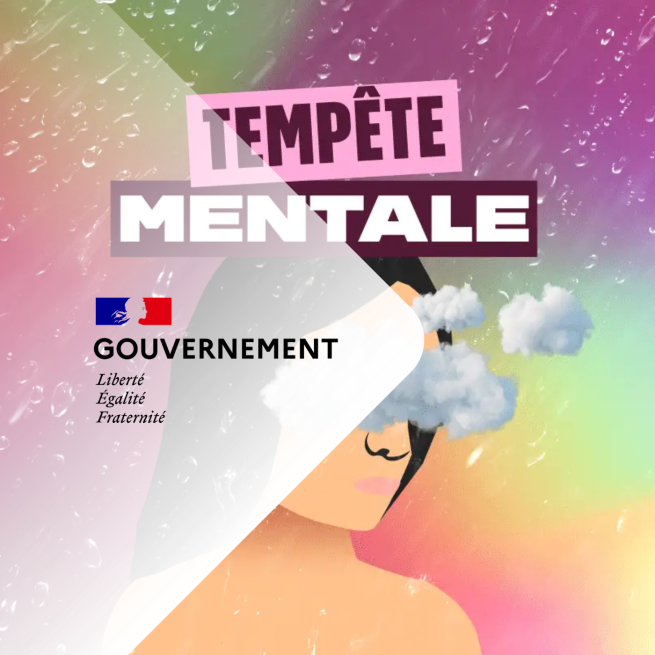 Tempête mentale - SIG